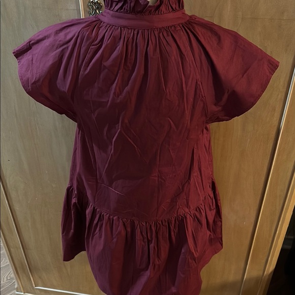 Pinch Maroon Ruffle Neck Dress - Picture 6 of 9